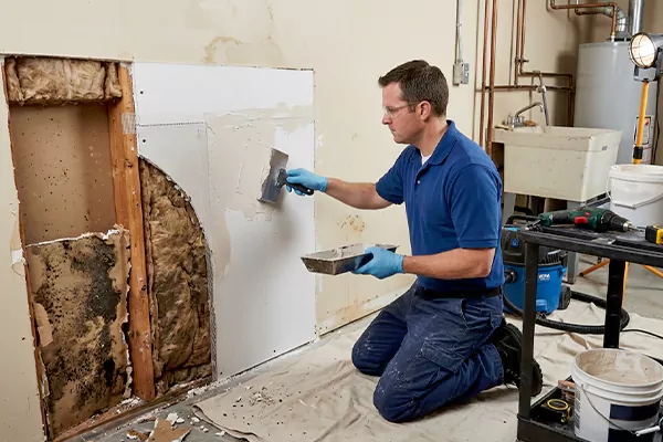 Mold and Drywall Repair Salt Lake City