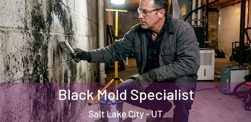 Black Mold Specialist Salt Lake City - UT