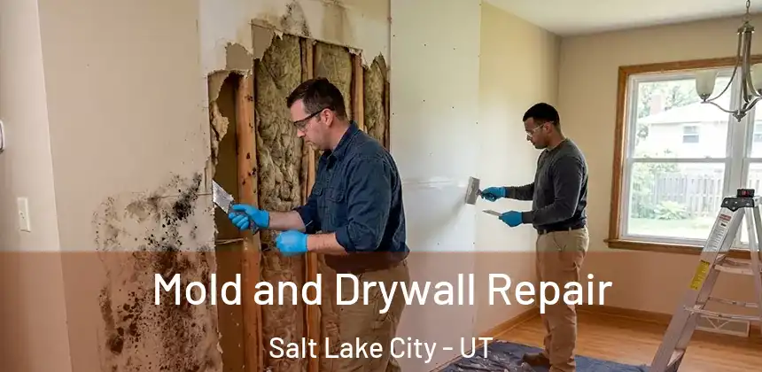  Mold and Drywall Repair Salt Lake City - UT