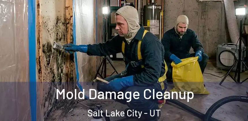 Mold Damage Cleanup Salt Lake City - UT