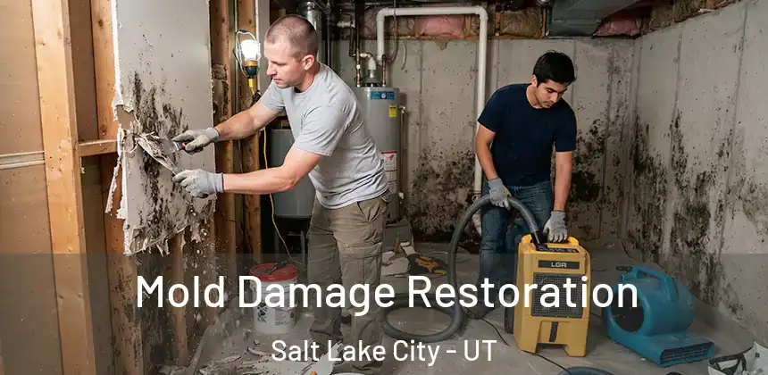  Mold Damage Restoration Salt Lake City - UT