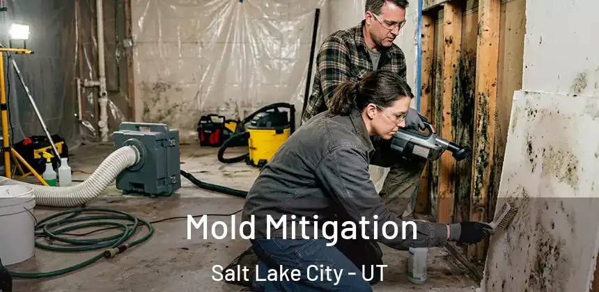 Mold Mitigation Salt Lake City - UT