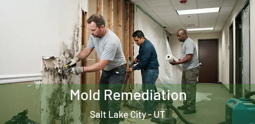  Mold Remediation Salt Lake City - UT