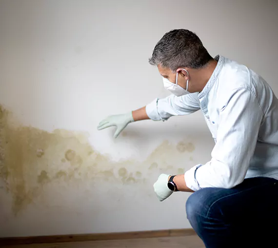Mold Removal Service in Salt Lake City, UT