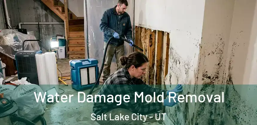 Water Damage Mold Removal Salt Lake City - UT