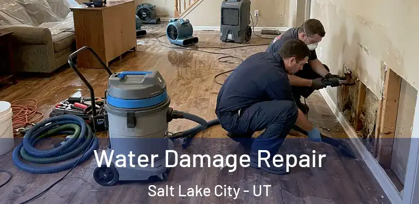  Water Damage Repair Salt Lake City - UT
