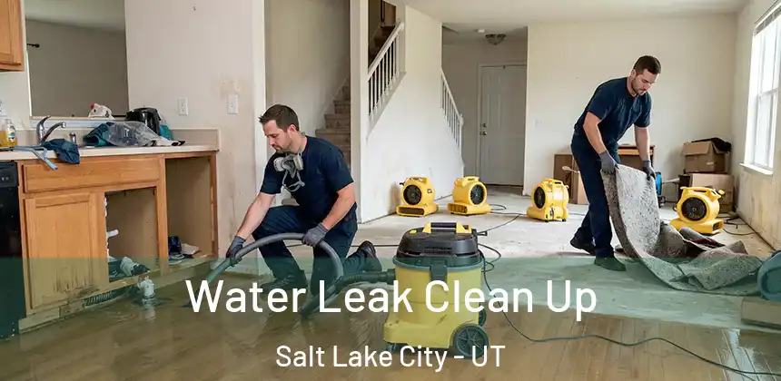  Water Leak Clean Up Salt Lake City - UT