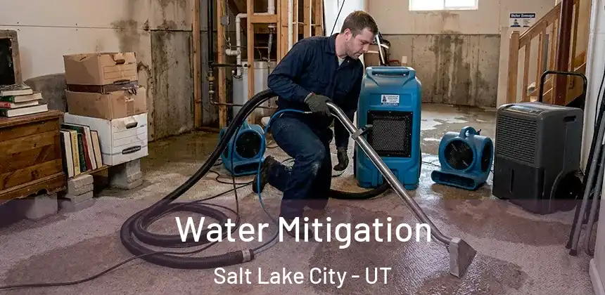 Water Mitigation Salt Lake City - UT
