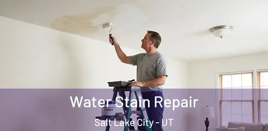 Water Stain Repair Salt Lake City - UT